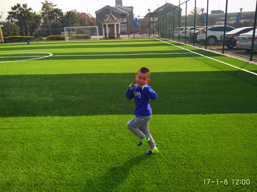 足球場工程 足球場工程